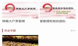 兴宁新闻最新爆料视频大全,视频大全揭秘热点事件