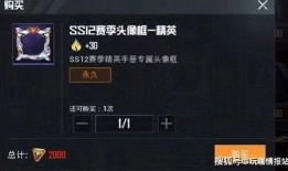 和平精英皮肤ss17最新爆料,全新爆料带你领略极致风采