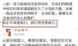 卓伟最新爆料李晨,李晨新恋情曝光，细节揭秘引网友热议