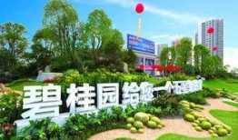 贵阳碧桂园爆料案件最新,揭开背后惊人真相