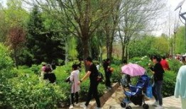 兰州植物园爆料案件最新,真相渐浮水面，疑云终将揭晓