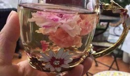 水晶玫瑰最新爆料图片欣赏,揭秘神秘花语与独特魅力