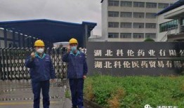 汤阴县医院爆料事件最新,真相与反思