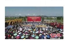 四川学校爆料视频最新,揭秘校园内幕